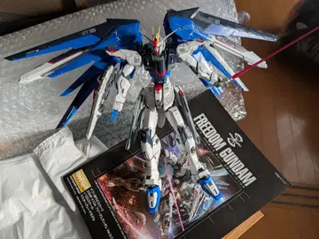 MG 1/100 프리덤 건담 Ver.2.0 먹선 데칼 씰