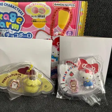 산리오 패키지 참 키티