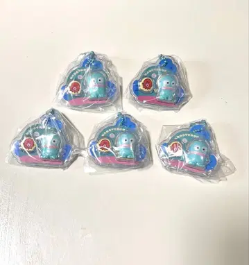 산리오 패키지 참 한교동