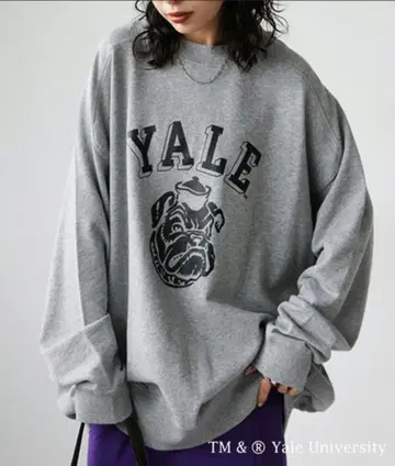 새상품급! antiqua YALE university 프린트 트레이닝복