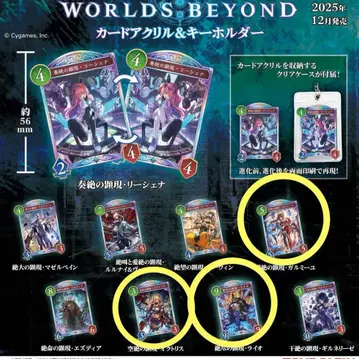 Shadowverse 섀도우버스 아크릴 키링 가챠가챠