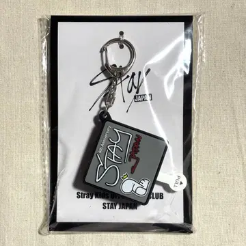 straykids 스키즈 보이스 키링 방찬