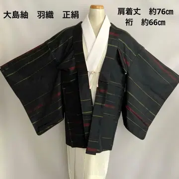 오시마 명주 기모노 겉옷 끈 포함 가로 줄무늬 (순수 실크)