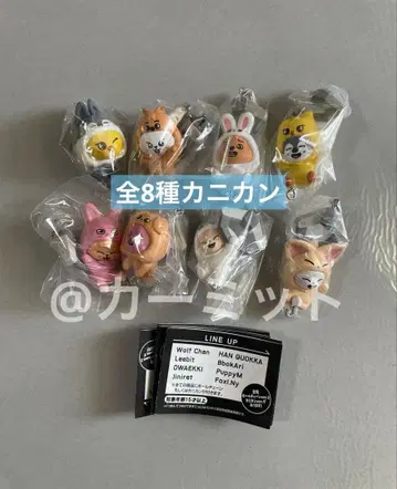 스키즈 SKZOO 츳마데츠나게테마스코토 가챠 컴프