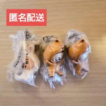 straykids skzoo 가챠 된장