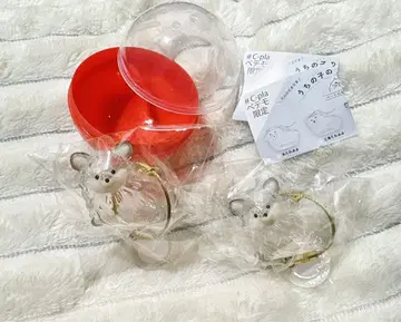 우리 아이 털뭉치 치와와 가챠 2세트 강아지