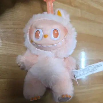 러브브 오렌지 컬러