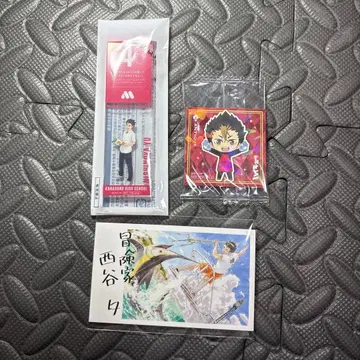 니시노야 유 세트