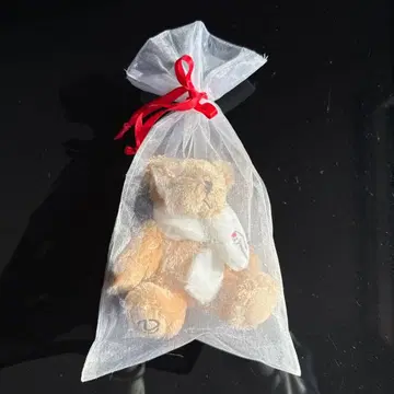 렉서스 베어 뱀띠