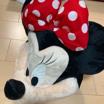 디즈니 팬캡 미니