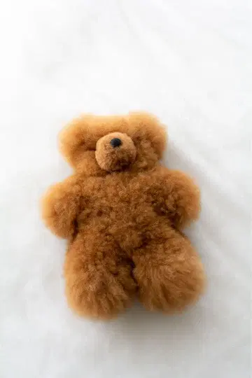 리틀룸스 포근한 알파카 베어 25cm 브라운 한국 인테리어