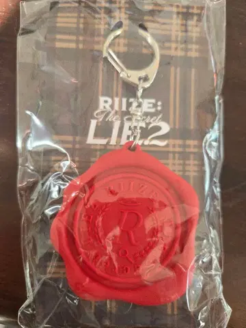 RIIZE 은석 보이스 키링