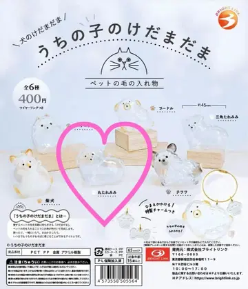 우리 아이 털뭉치 동그란 늘어진 귀 3세트