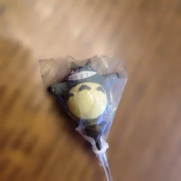 정원 피크 토토로