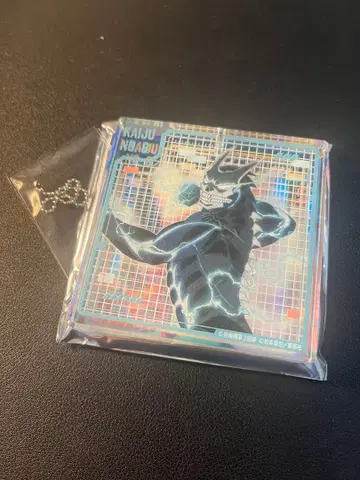 괴수 8호 점프 페스타 2025 BIG 오로라 블로키