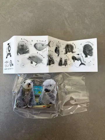 도바 수족관 랏코 아크릴 스탠드 키라 메이