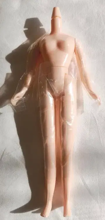 리카짱 네오 브라이스 바디만 페어 레귤러 컬러 여아