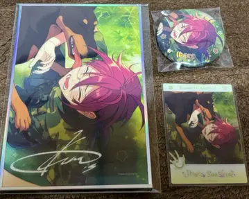 사에구사 이바라 동심진장 묶음 판매