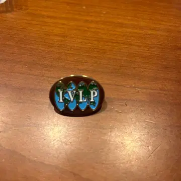 IVLP 미국 국무부 핀 배지