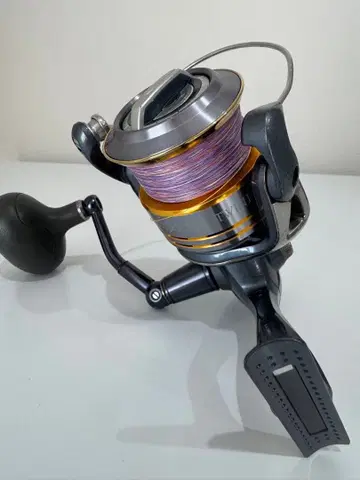 시마노 트윈파워 SW6000PG TWINPOWER