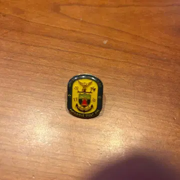 미 해군 제7함대 핀 배지