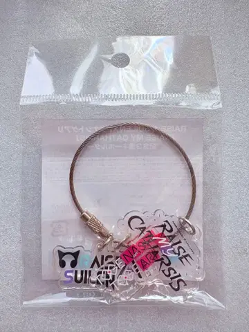 RAISE A SUILEN 토게나시 토게아리 기념 3연 키링