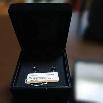 PT 블랙 다이아몬드 귀걸이 0.3ct