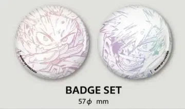 [ 한정품 ] BUMP OF CHICKEN 히로아카 캔뱃지 2개 세트