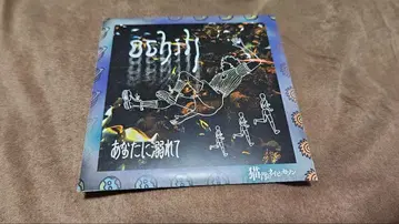 라운드숄더의 네이비 세존 당신에게 빠져 CD