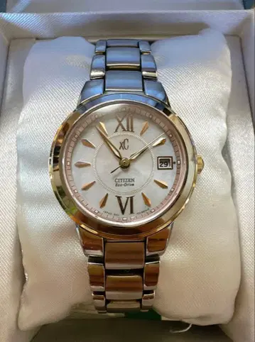 XC 크로스시 CITIZEN 시티즌 쉘 다이얼 손목시계