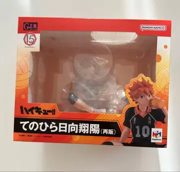 G.E.M. 시리즈 하이큐 테노히라 히나타 쇼요