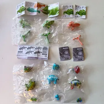 카멜레온 가챠 6종 세트