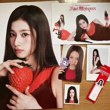 TWICE 본국 시즌 그리팅 2026 사나 세트