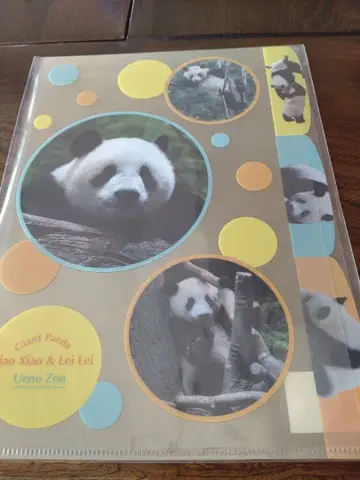 우에노 동물원 쌍둥이 팬더 클리어 파일 2