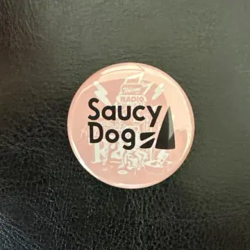 Saucy Dog 사우시도그 레이디클레 캔뱃지 2025 소사이즈