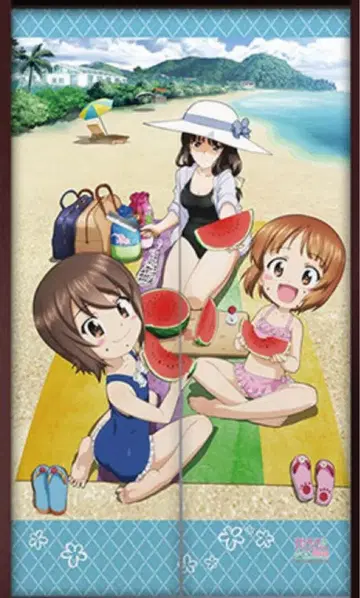 미개봉 걸즈&판처 극장판 노렌 미호&마호&시호 커튼혼