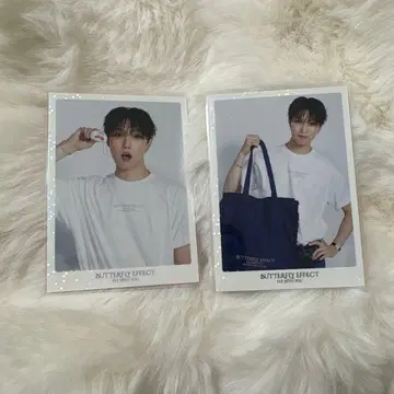 BUTTERFLY EFFECT 호리 나츠키 트레이딩 카드 시크릿