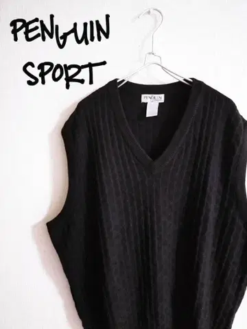 D222054 PENGUIN SPORT V넥 베스트