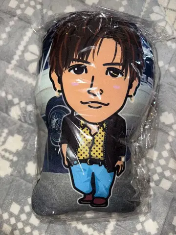 3대 이와타 타카노리 쿠션