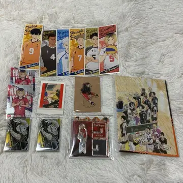 하이큐 파샤코레 아크릴 크로스 피규어 도미노풍 아크릴 키링