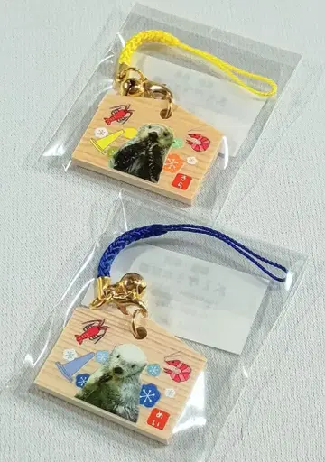 새상품 토바 수족관 랏코 메이짱 키라짱 미니 에마 x 2종