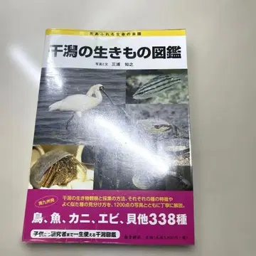 갯벌 생물 도감 사진과 설명 동정 환경 조사 게 새우