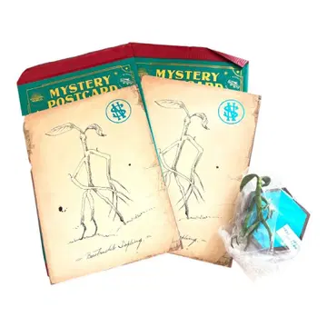 신비한 동물사전 보우트래클 피켓 엽서 피규어