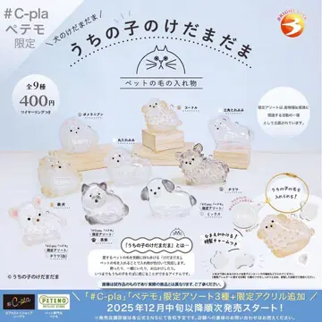 [ 새상품 미개봉 ] 우리 아이 털뭉치 푸들