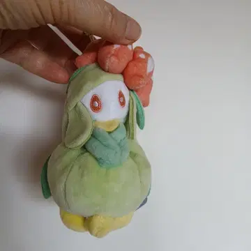 드레디어 포켓몬