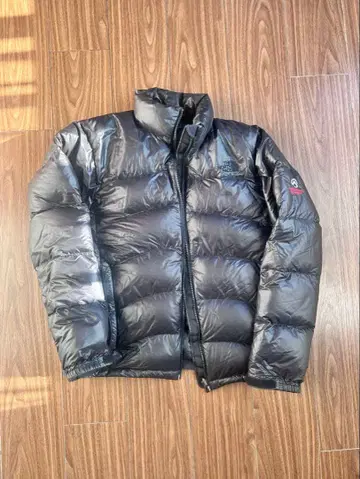 THE NORTH FACE Summit Series 다운 자켓