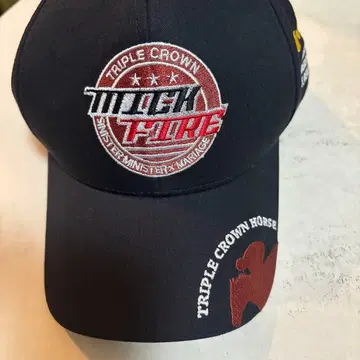 레어 믹 파이어 트리플 크라운 캡 오이 경마 3관