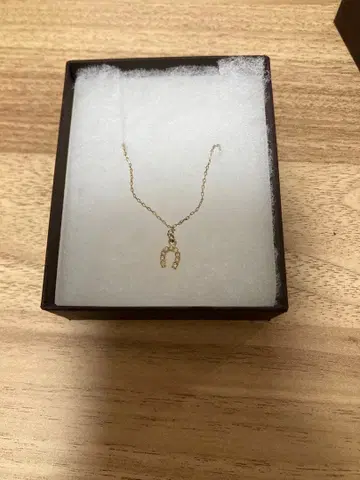 호스 슈 목걸이