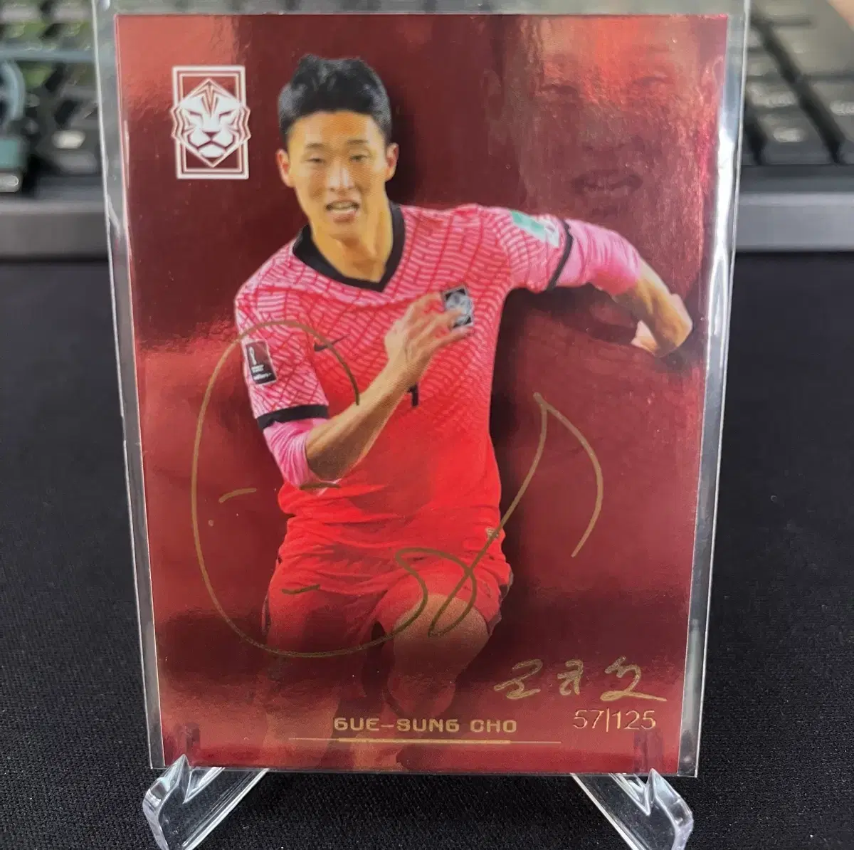 Panini 파니니 축구카드 국대 Kfa 조규성 카드