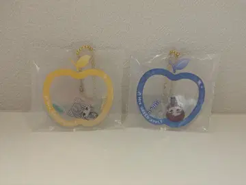 Mrs.GREEN APPLE 제일복권 E상 바스락 참 미세스